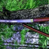 rabochij-instrument-shamana