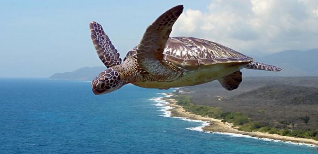 okazyvaetsia-nevozmozhnoe-vozmozhno